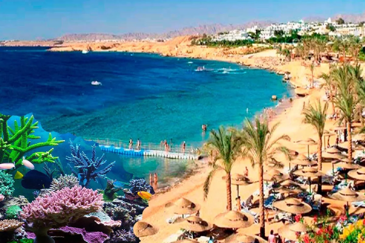 Tourism in Sharm El-Sheikh - Packages and Places